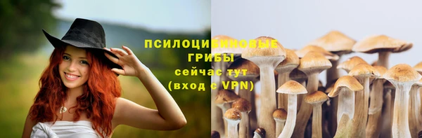 скорость Инсар