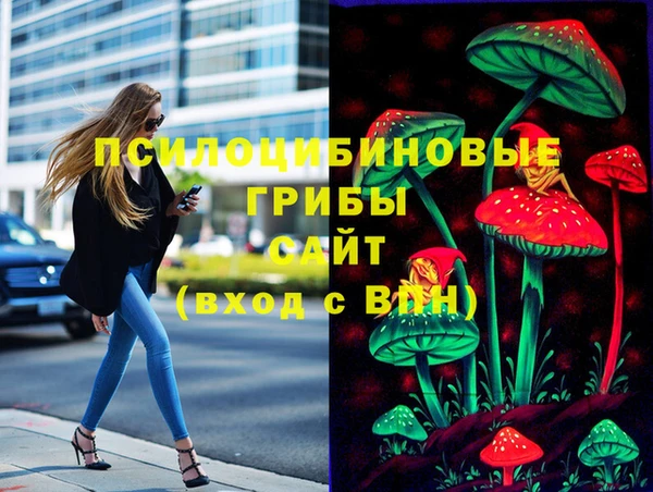а пвп мука Инта