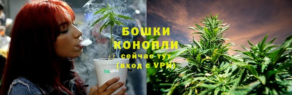 а пвп мука Инта