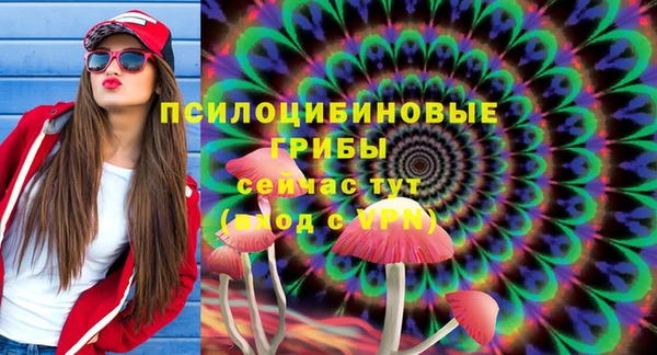 а пвп мука Инта